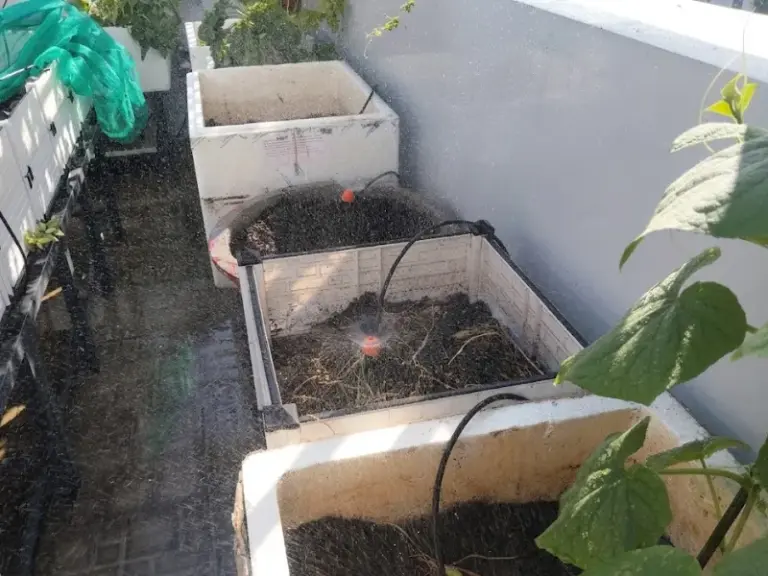 Bảo trì hệ thống tưới tự động sau 6 tháng tại nhà khách ở phường Cát Lái