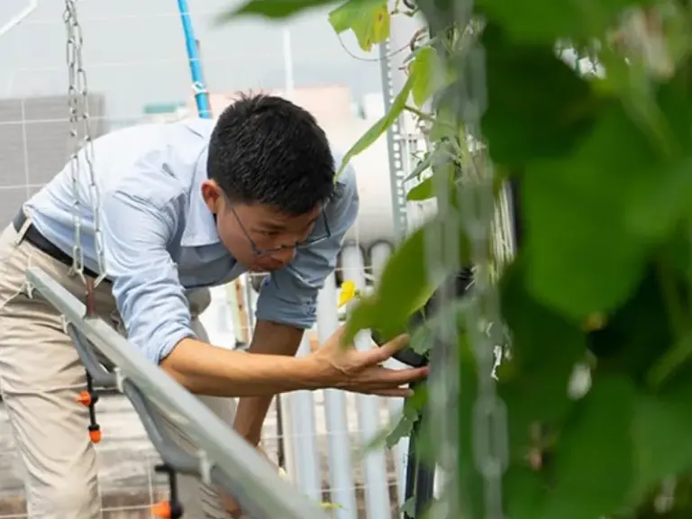 Tìm hiểu tính chất cây trồng