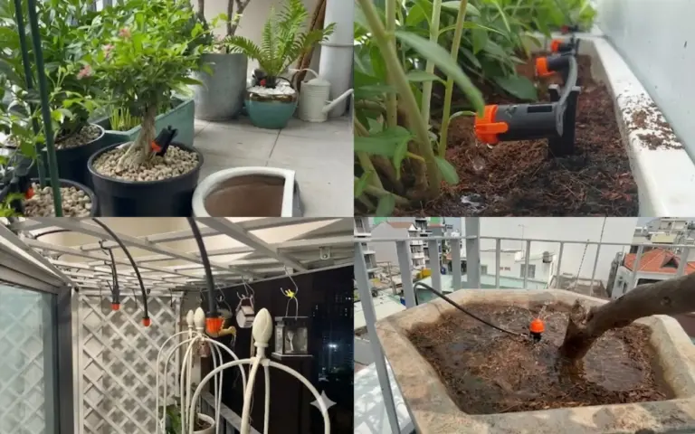 Lắp đặt béc tưới và hoàn thiện