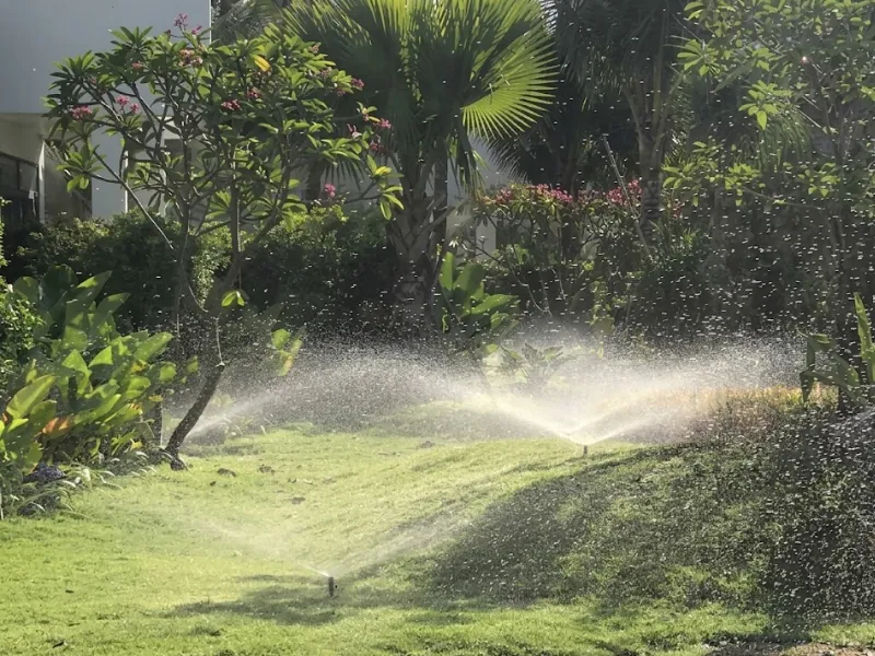 Tại sao nên chọn dịch vụ chăm sóc cây xanh tại Tata Garden?