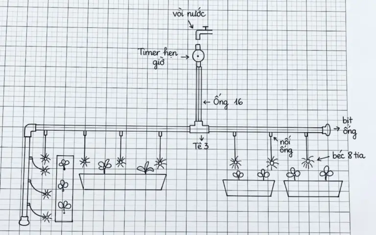 Vẽ sơ đồ phác thảo hệ thống tưới lên giấy