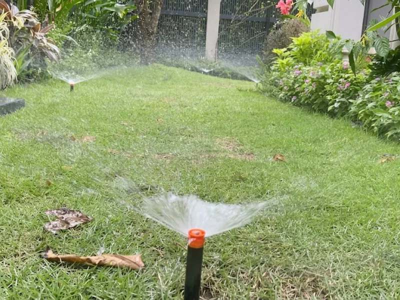 Tưới phun mưa tự động cho thảm cỏ sân vườn