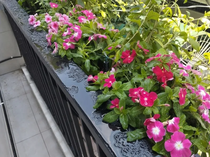Thiết kế thi công hệ thống tưới tại nhà khách tại Đặng Văn Ngữ, Phú Nhuận
