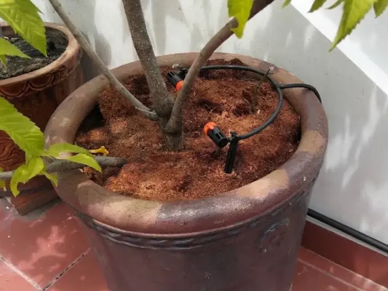 Dự án thi công thiết kế tưới cho ban công nhà phố Tân Định Quận 1